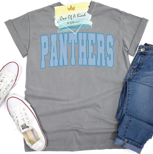 Panthers Chunky Pastel Toddler/Youth Tshirt