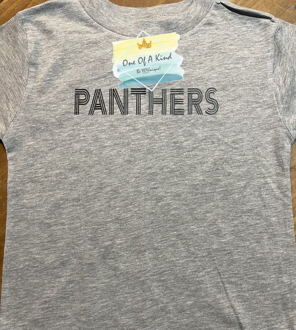 Panthers Stripe Word Adult Tshirt