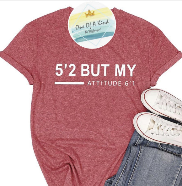 5.2 Attitude Tshirt