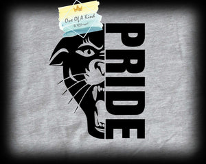 Van Alsytne Panther Pride Onesie/Toddler/Youth Tshirt